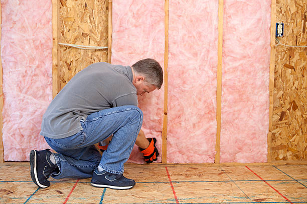 Best Insulation Maintenance and Repair in Fair Oaks Ranch, TX