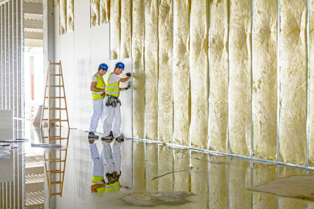 Best Insulation Installation Services in Fair Oaks Ranch, TX